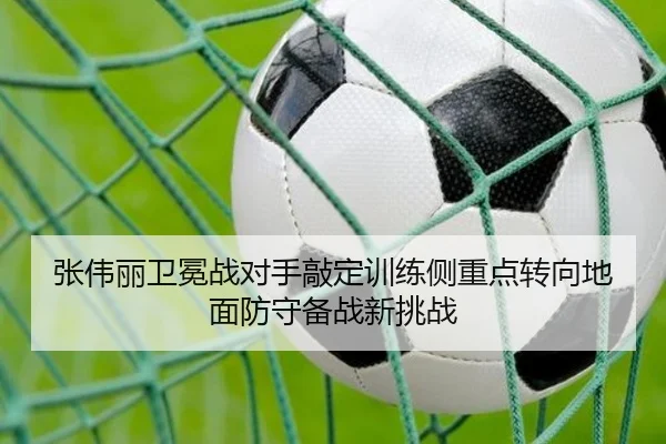 张伟丽卫冕战对手敲定训练侧重点转向地面防守备战新挑战